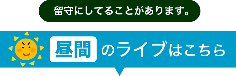 昼間のライブカメラ
