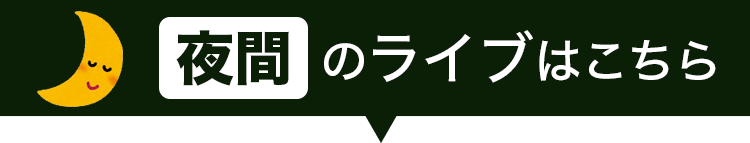 夜間のライブカメラ