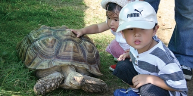 どこでも移動動物園