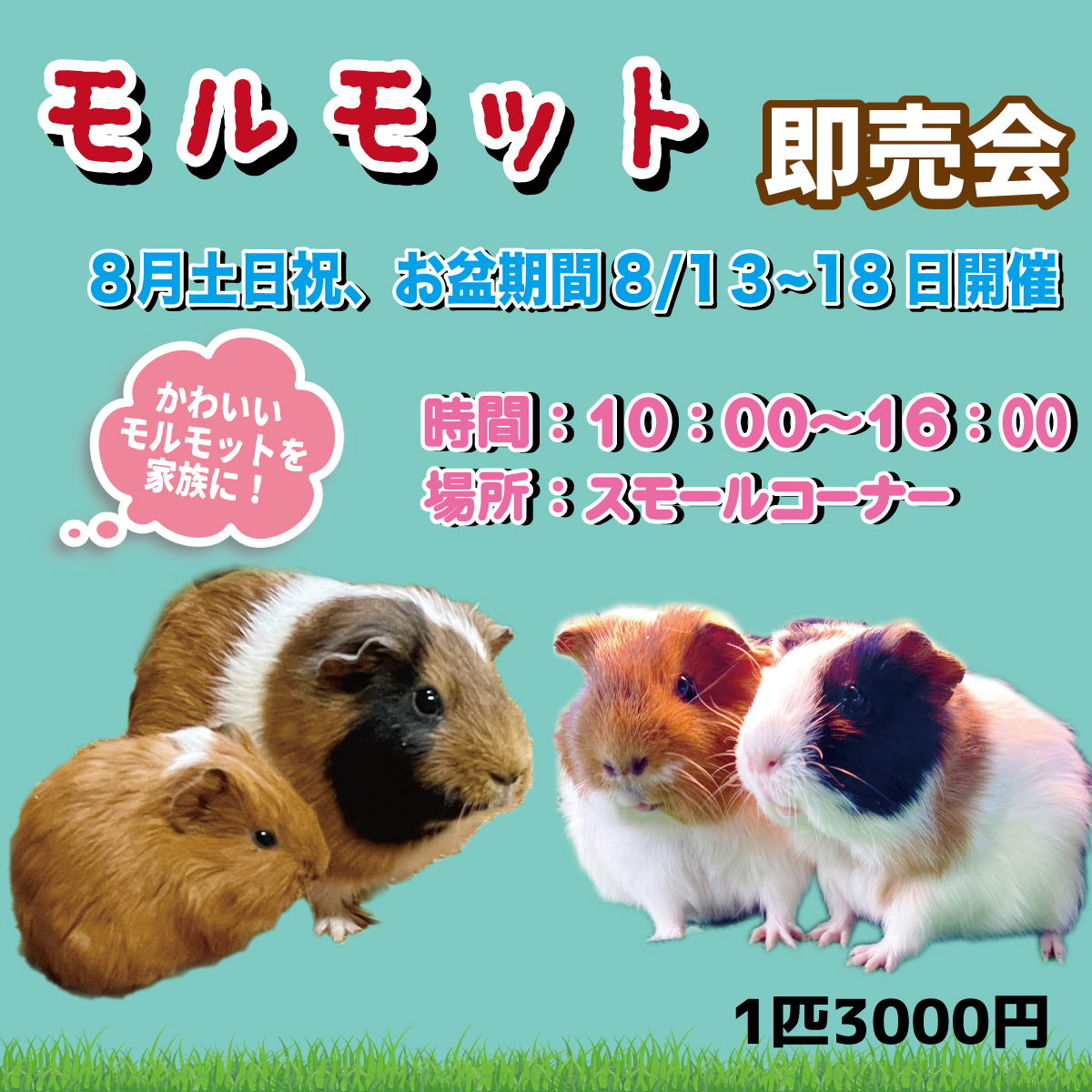 モモンガハウス（迷彩・恐竜柄）春（冬）秋仕様 1850円 【公式通販】